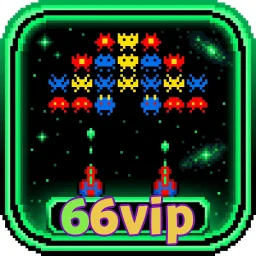 66vip
